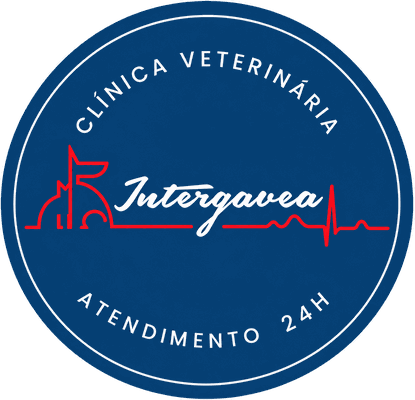 Inter Gávea 24h